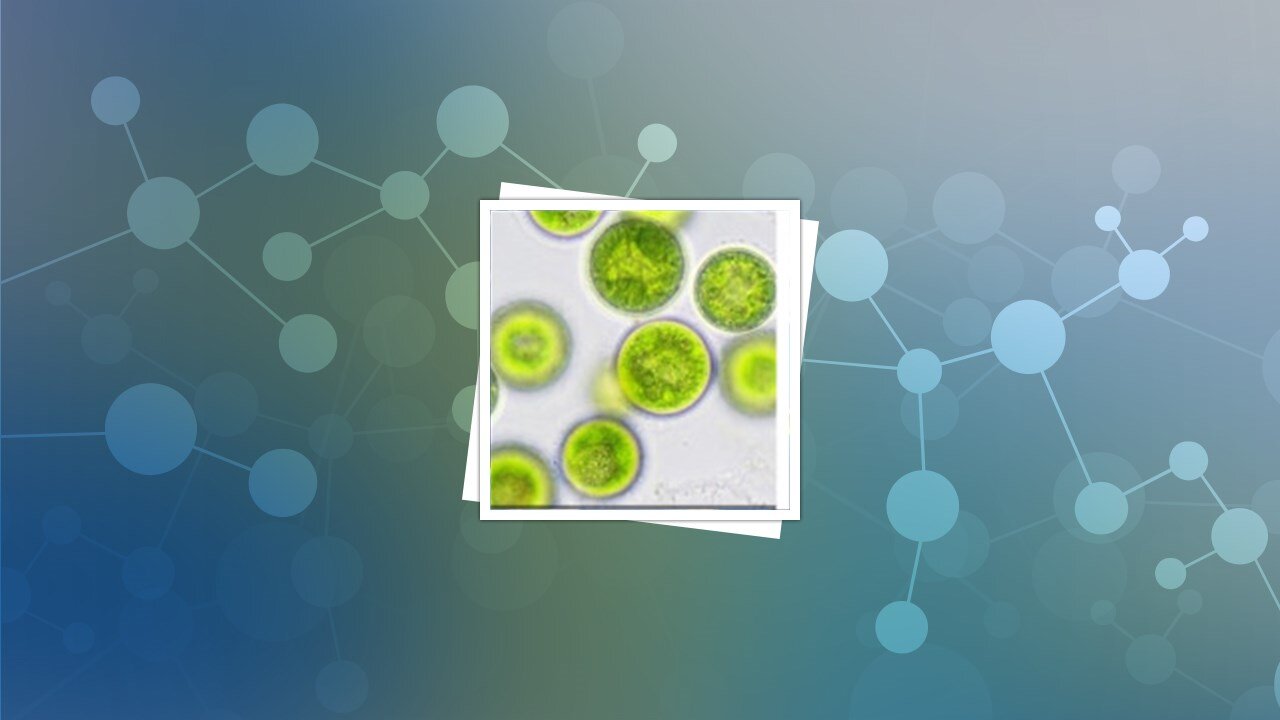 دانش و ایستادگی؛ فرمول یک زن برای ساختن آینده