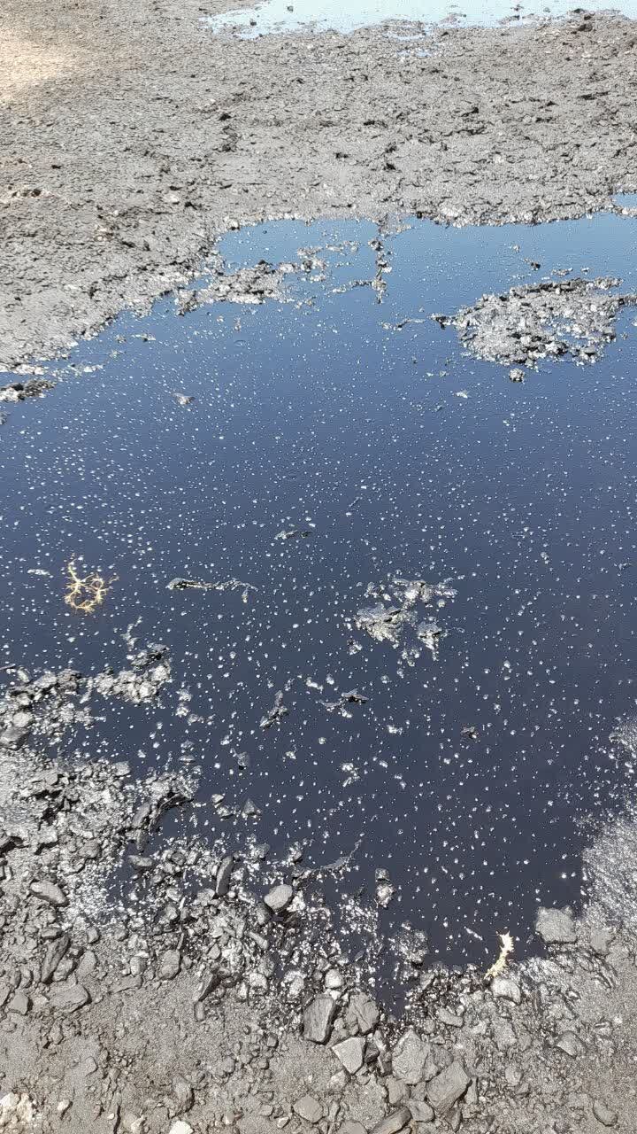 با عوامل تخلیه غیرمجاز تانکر لجنهای اسیدی در اراضی محور تیران_فریدن برخورد قانونی میشود