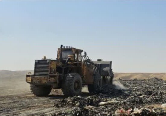 تصمیم امیدوارکننده توقف توسعه در فلات مرکزی/ کاشت موفق مرجانهای دریایی در جزایر خلیج فارس