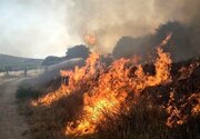 آتش‌سوزی ۴۲ هکتار اراضی مازندران طی یک اخیر