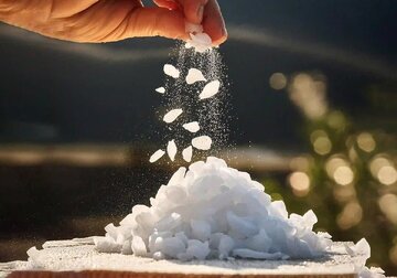 خرید سود پرک در اصفهان + قیمت استثنایی