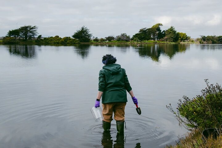 مقاله جنجالی «حیات با آرسنیک» پس از ۱۵ سال پس گرفته شد