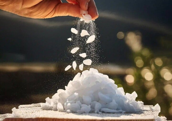 خرید سود پرک در اصفهان + قیمت استثنایی