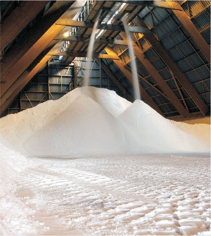 خرید سود پرک در اصفهان + قیمت استثنایی