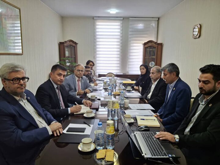 زنجان، گره طلایی ارتباطات اقتصادی ایران با قفقاز و آناتولی است زنجان، گره طلایی ارتباطات اقتصادی ایران با قفقاز و آناتولی است