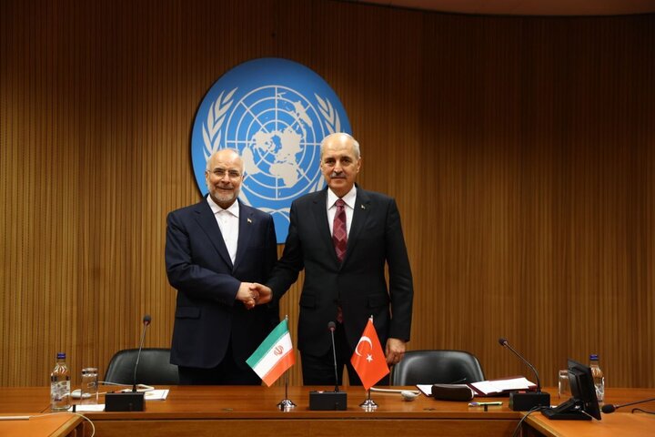 رؤسای مجالس ایران و ترکیه در ژنو دیدار کردند