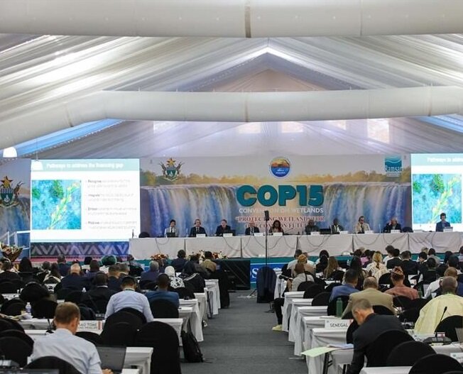 ایران نماینده جنوب و غرب آسیا در کمیته راهبری کنوانسیون رامسر شد