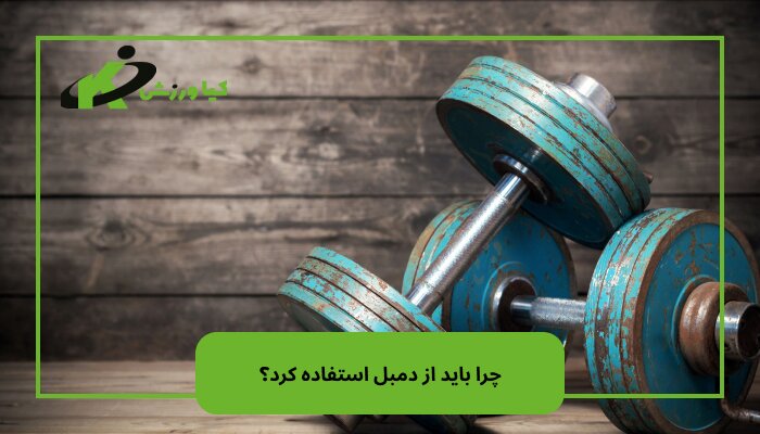 خرید دمبل بدنسازی