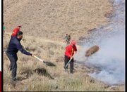 ۳۰ هکتار از عرصه‌های بخش بلده شهرستان نور طعمه حریق شد