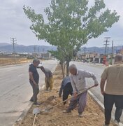 آغاز عملیات اجرایی ساماندهی و زیباسازی بلوار شهید هرمزپور