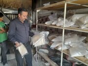توقف نانوایی متخلف در اردبیل