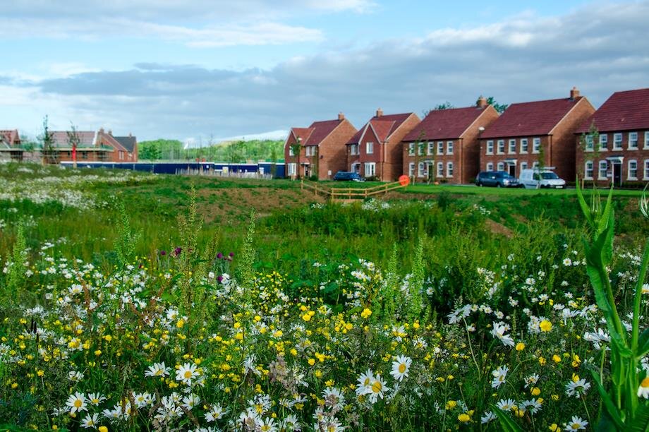 تحول سبز شهرها با رویکرد جامعهمحور طبیعت