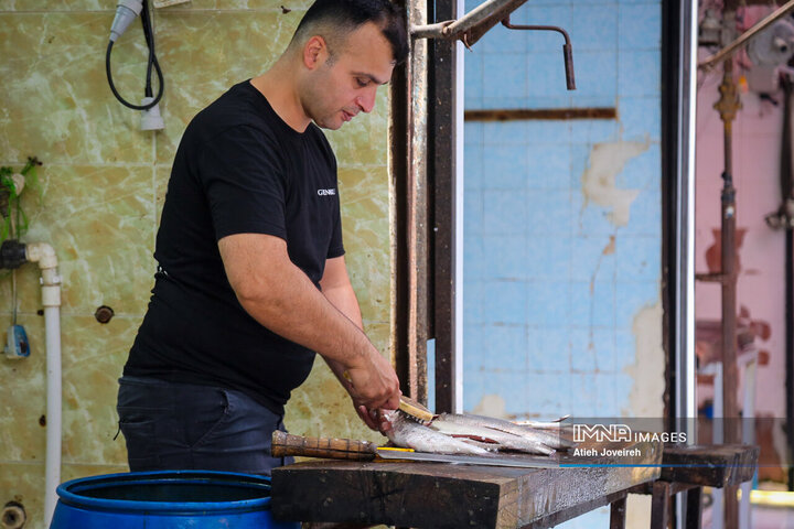 بازار ماهی فروشان لنگرود