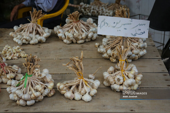 بازار ماهی فروشان لنگرود