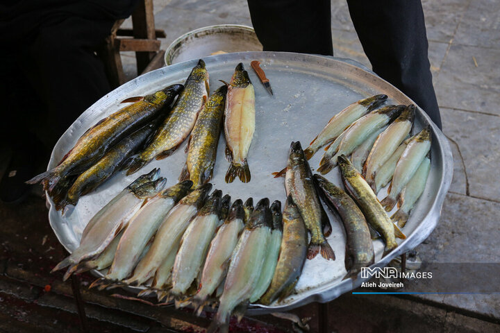 بازار ماهی فروشان لنگرود