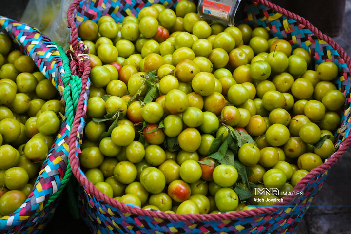 بازار ماهی فروشان لنگرود