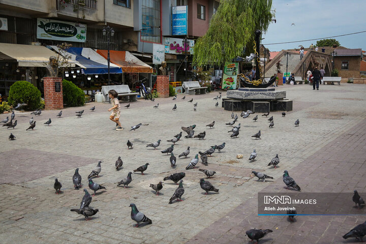 بازار ماهی فروشان لنگرود
