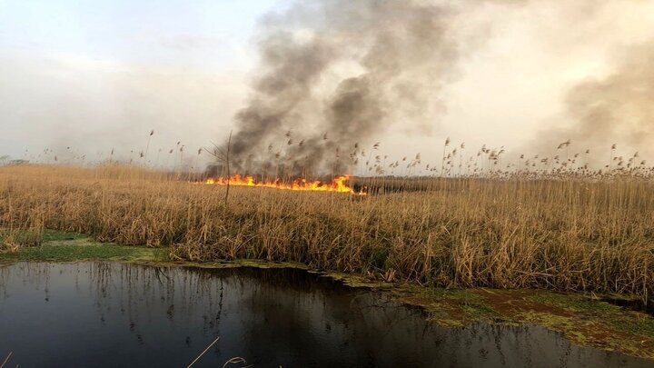 آتش در دل هور، دود در نفس خوزستان
