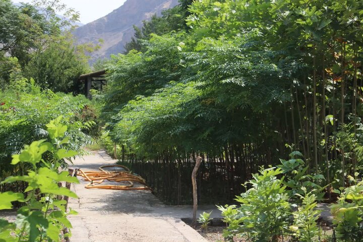 ارتقای بهره‌وری نهالستان شهرداری، گامی مؤثر در زیباسازی شهر و کاهش هزینه‌ها