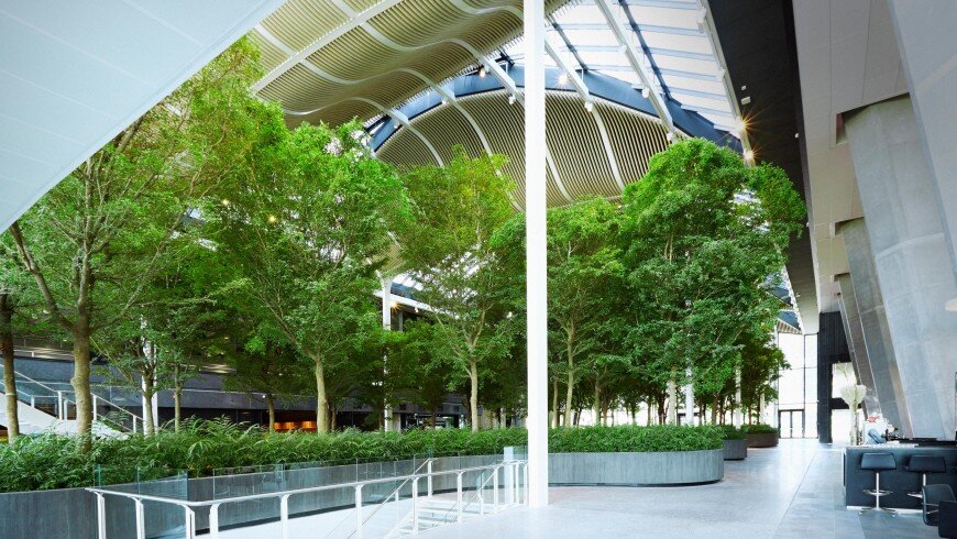 ترویج سبک زندگی سبز با کاهش مصرف منابع در شهرها