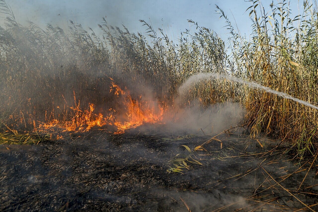 آتش در دل هور، دود در نفس خوزستان