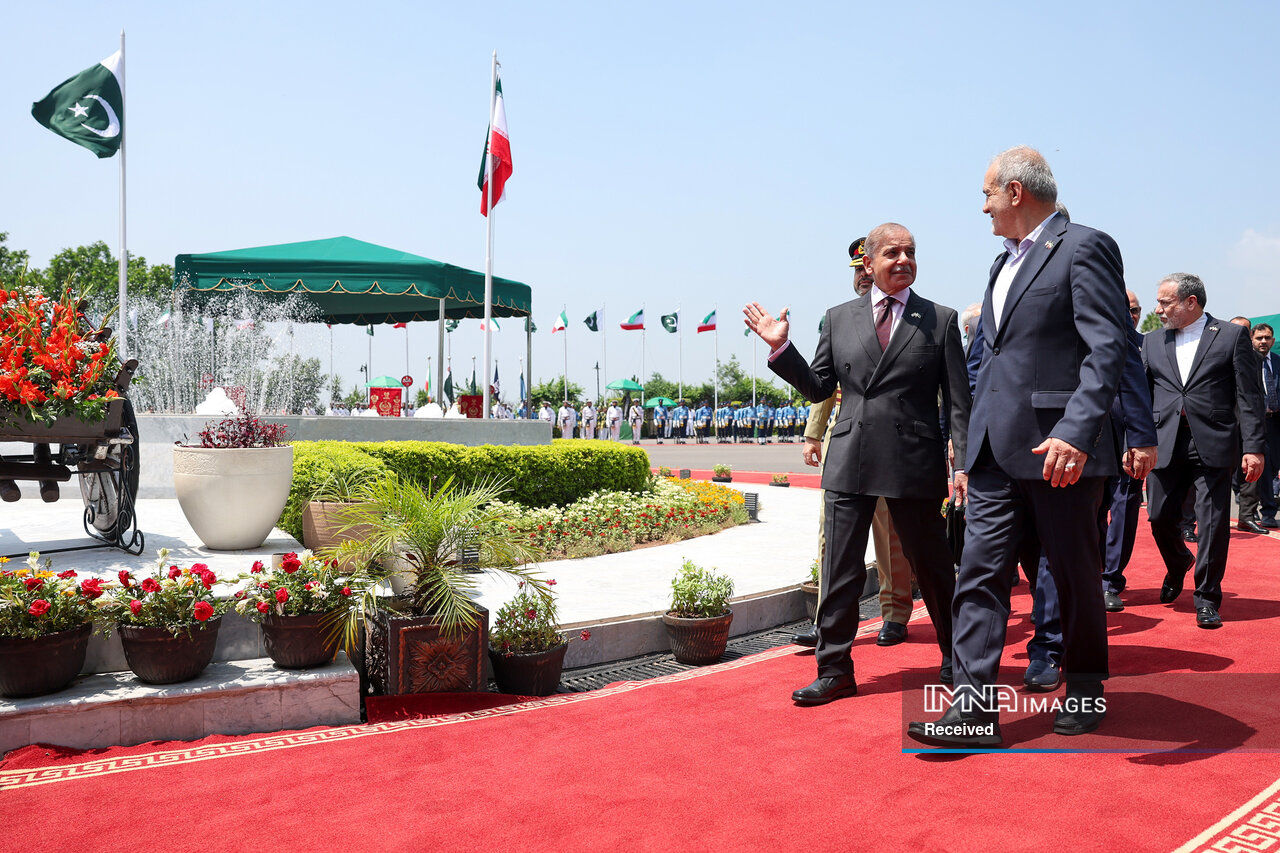 پیوندی فراتر از مرزها