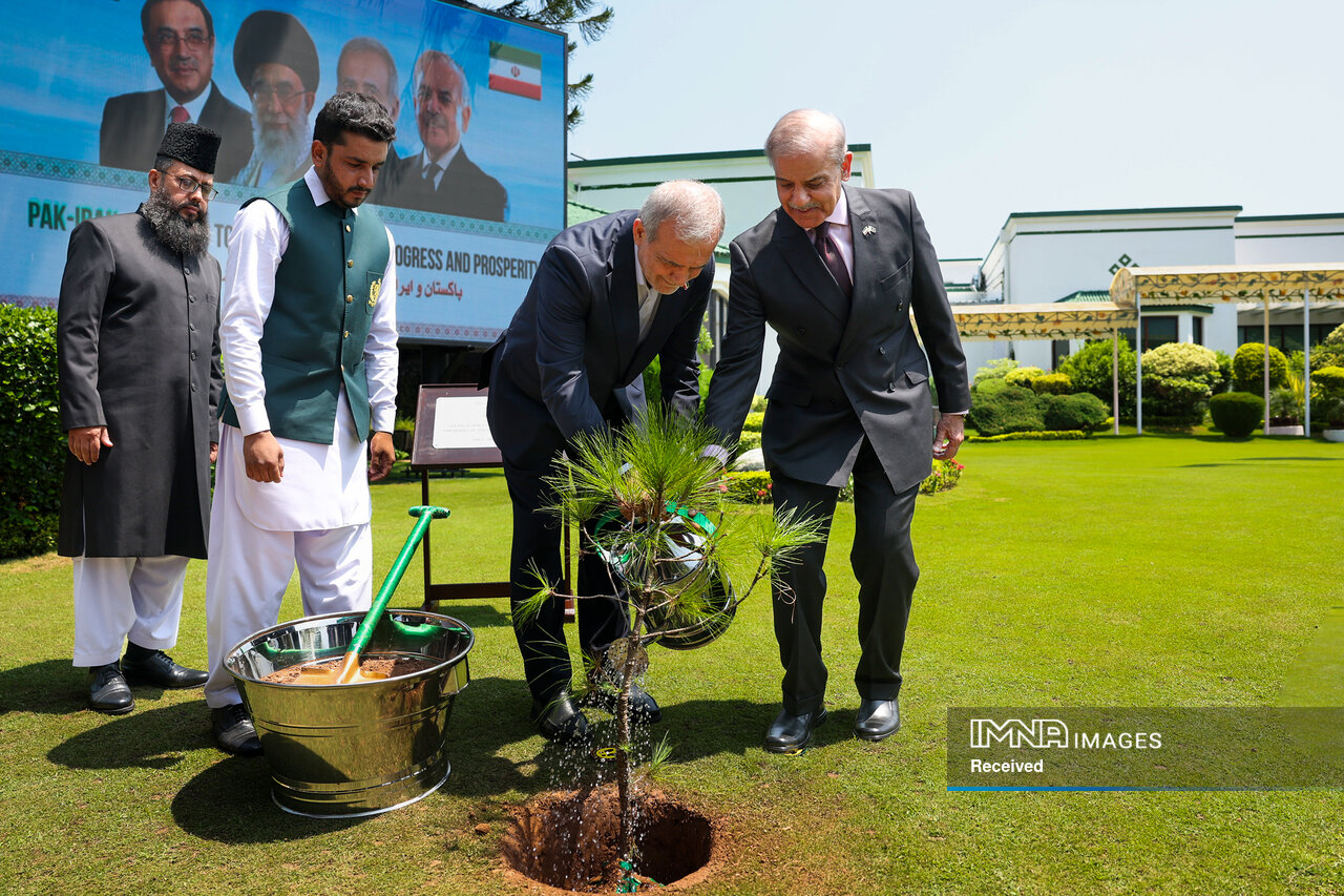 پیوندی فراتر از مرزها