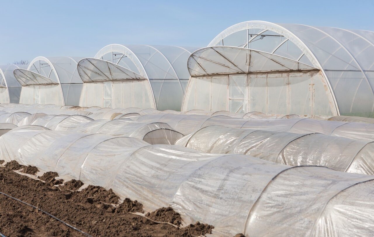 بحران آلودگی پلاستیکی در کشاورزی؛ تهدیدی جدی برای امنیت غذایی شهرها