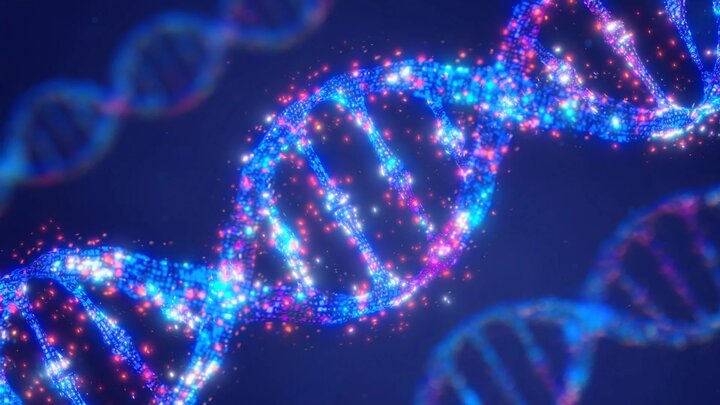 ساخت دستگاه‌های نانومتری با DNA و آب