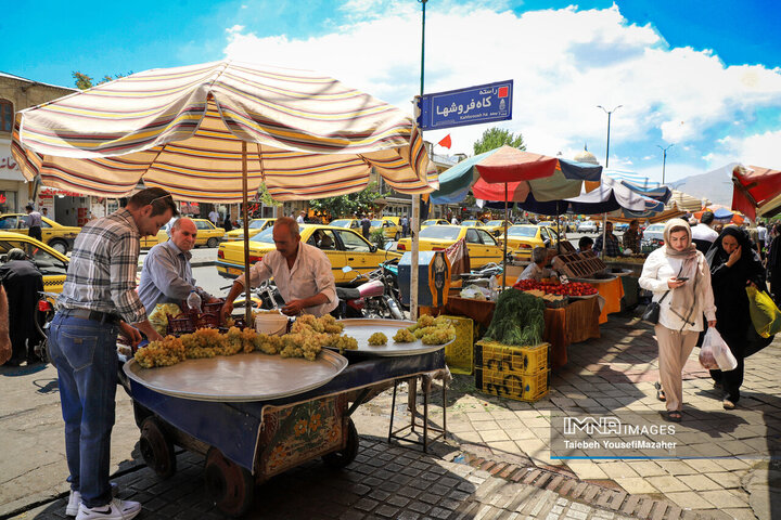 نبرد برای زندگی در گرمای نفسگیر تابستان نبرد برای زندگی در گرمای نفسگیر تابستان