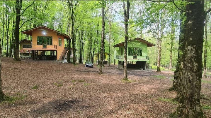 برگزاری نخستین شادواره خانوادگی به میزبانی پارک بانوان در زنجان