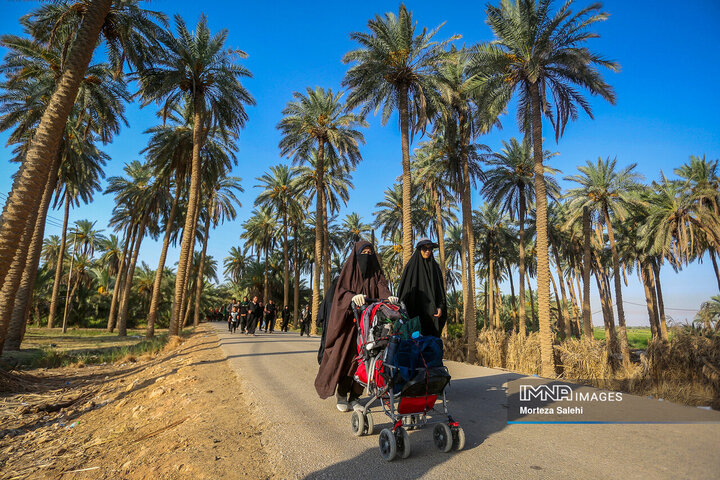 پیاد‌ه روی اربعین در مسیر طریق العلما
