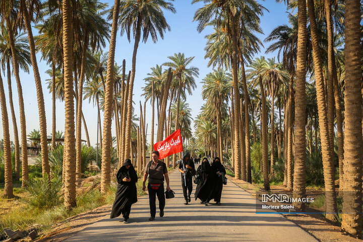 پیاد‌ه روی اربعین در مسیر طریق العلما