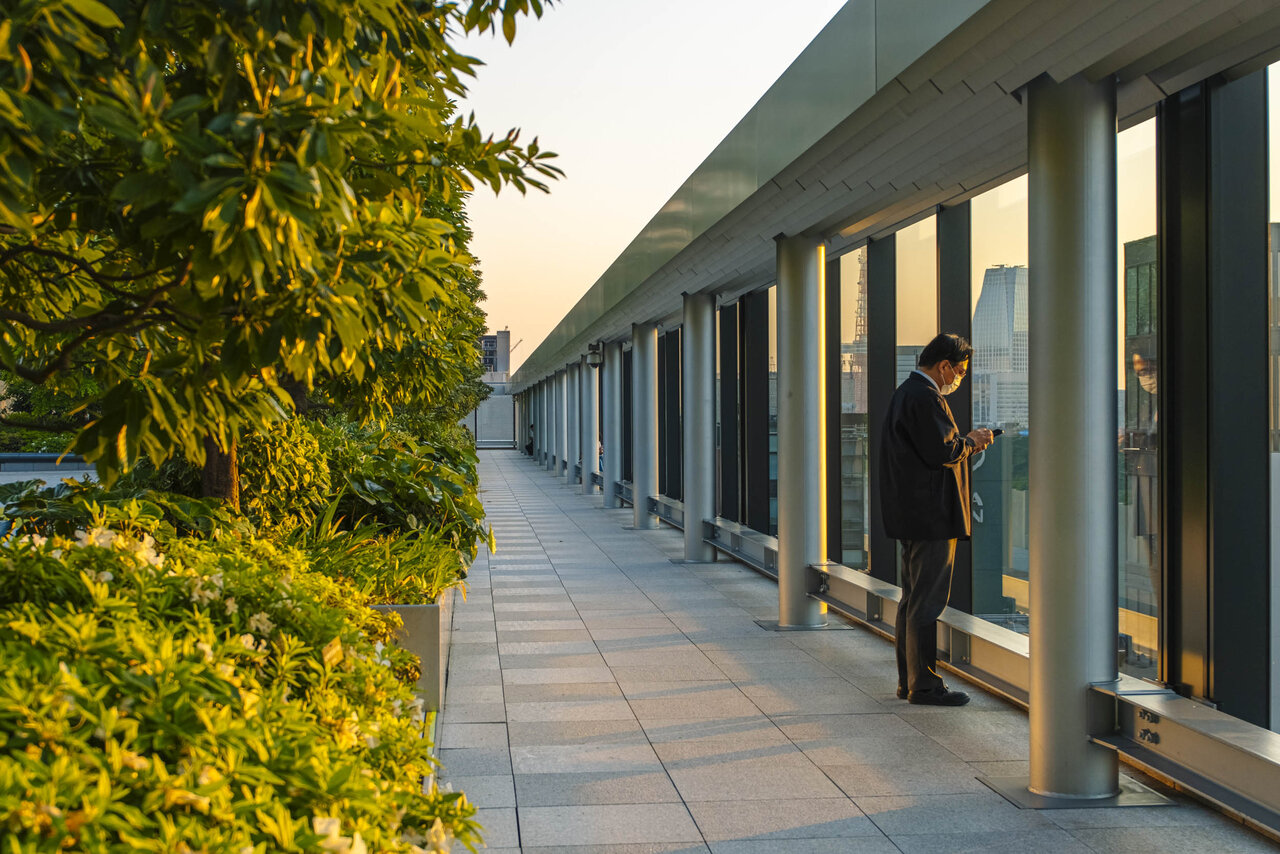 پارکهای آسمانی در شهرها؛ راهکاری نوین برای ارتقای کیفیت زندگی