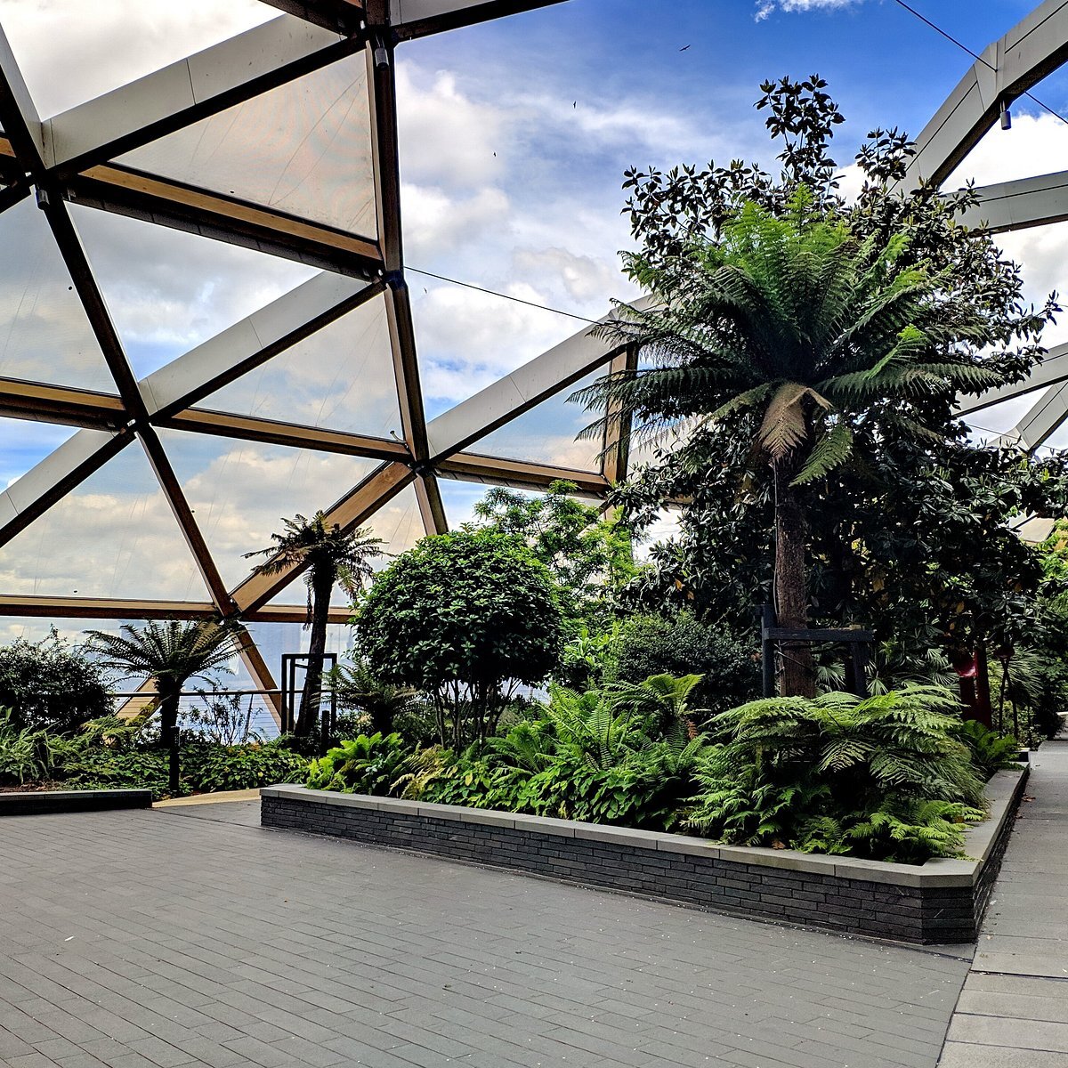 پارکهای آسمانی در شهرها؛ راهکاری نوین برای ارتقای کیفیت زندگی