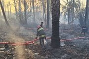 اطفای حریق ۲ منزل مسکونی و یک نخلستان در شهر کربلا توسط آتش‌نشانان اصفهان + فیلم