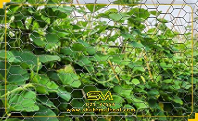 خرید توری مرغی