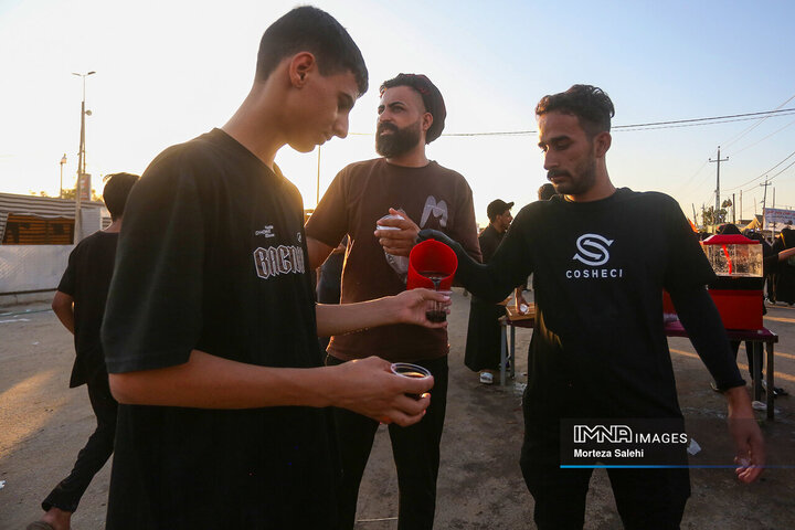 پیاده‌روی اربعین در مسیر نجف به کربلا