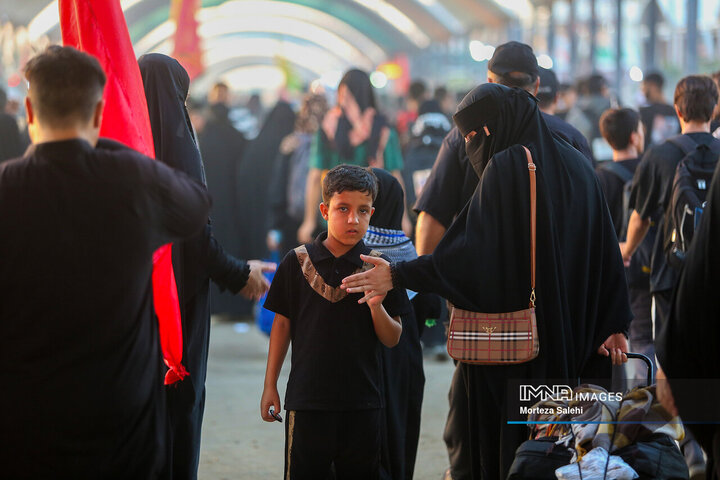 پیاده‌روی اربعین در مسیر نجف به کربلا