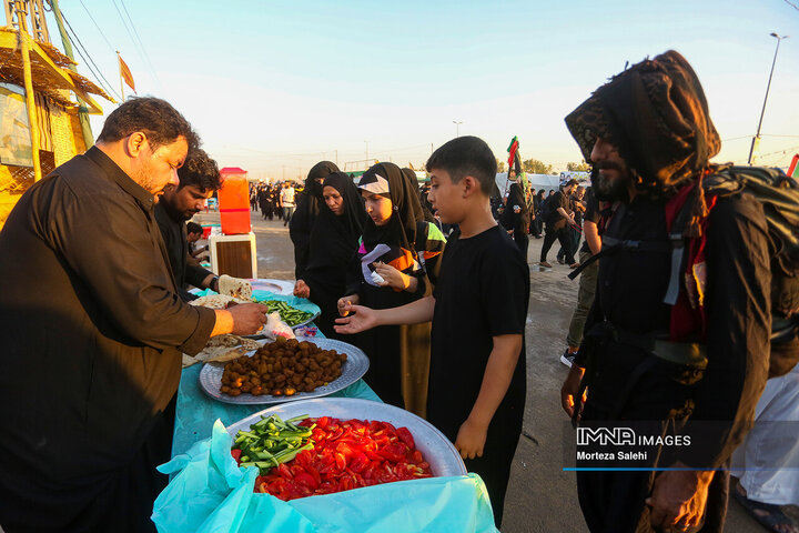 پیاده‌روی اربعین در مسیر نجف به کربلا