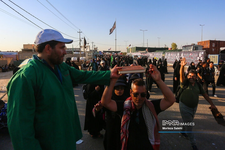 پیاده‌روی اربعین در مسیر نجف به کربلا