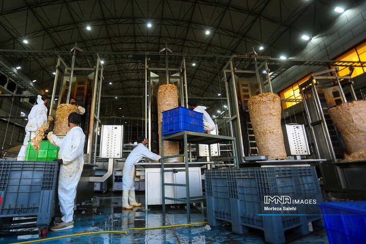 پیاده‌روی اربعین در مسیر نجف به کربلا