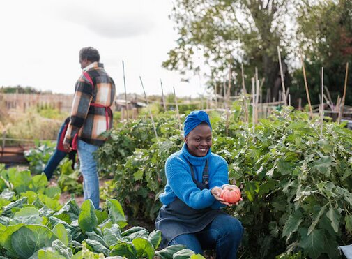 لاگوس؛ شهری پیشرو در باغهای خوراکی شهری آفریقا