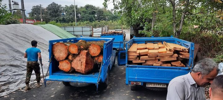 کشف ۸ تن چوب آلات قاچاق در نکا