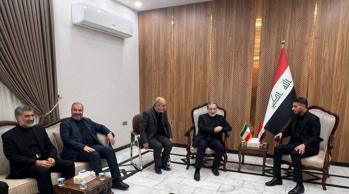 عراقچی وارد نجف اشرف شد