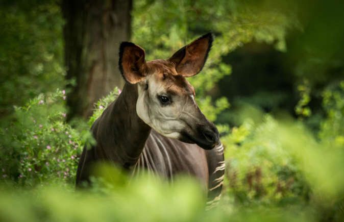 آثار جهانی مشهور که ممکن است برای همیشه از بین بروند