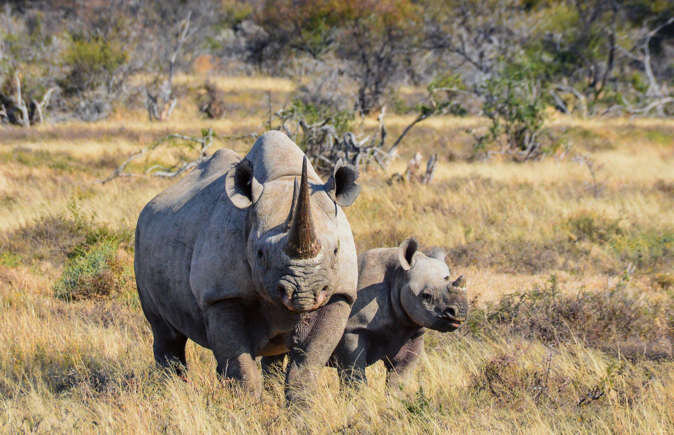 آثار جهانی مشهور که ممکن است برای همیشه از بین بروند