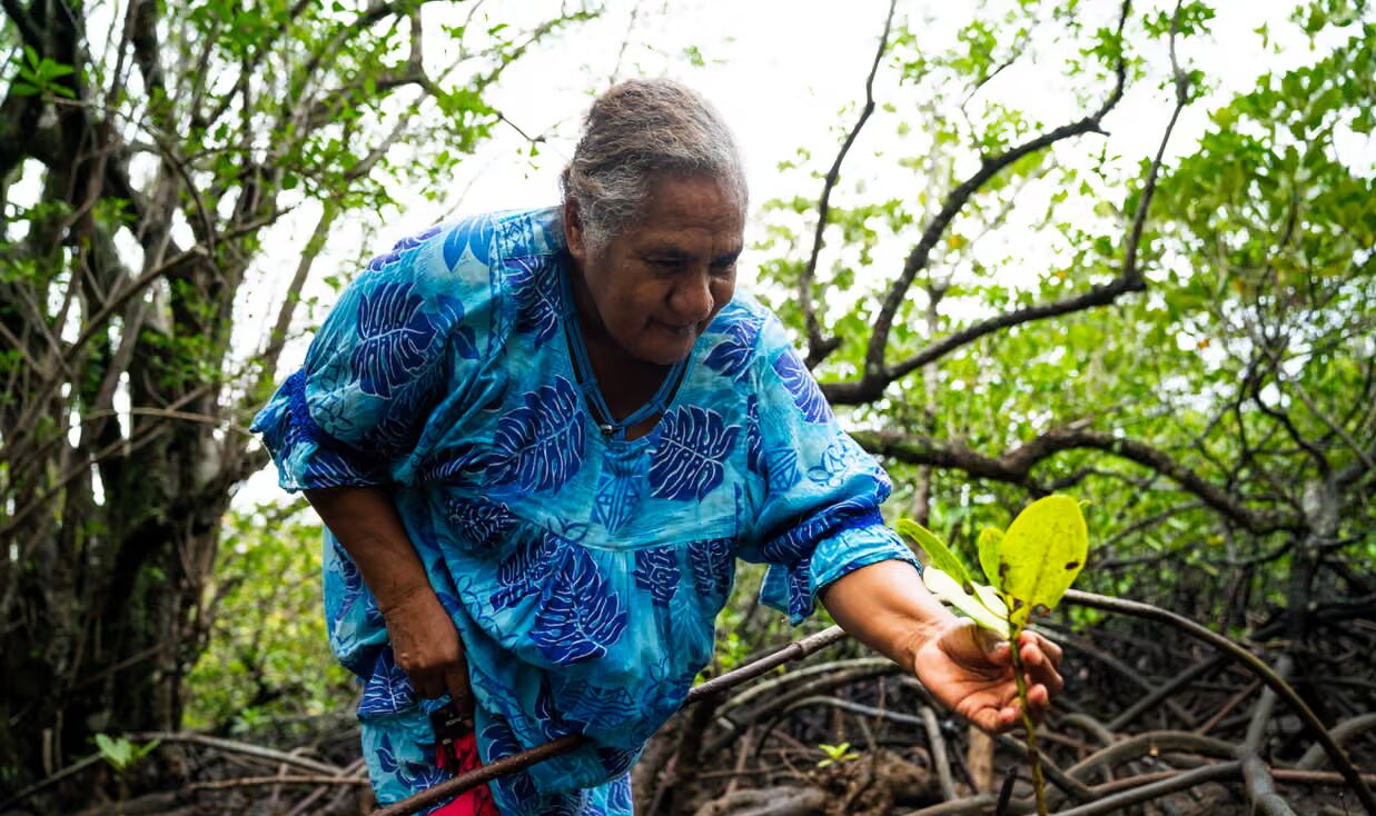 قلب جهان در حال نابودی است