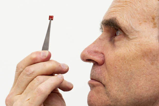 دنیای کوچک‌ترین‌ها در جهان + عکس