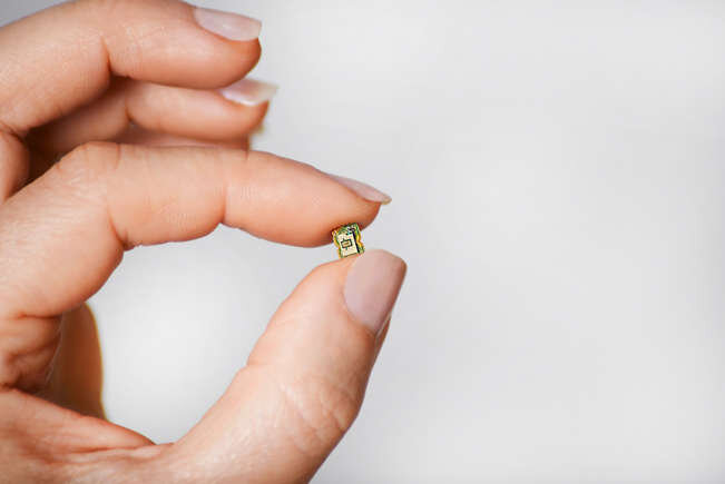 دنیای کوچکترینها در جهان + عکس